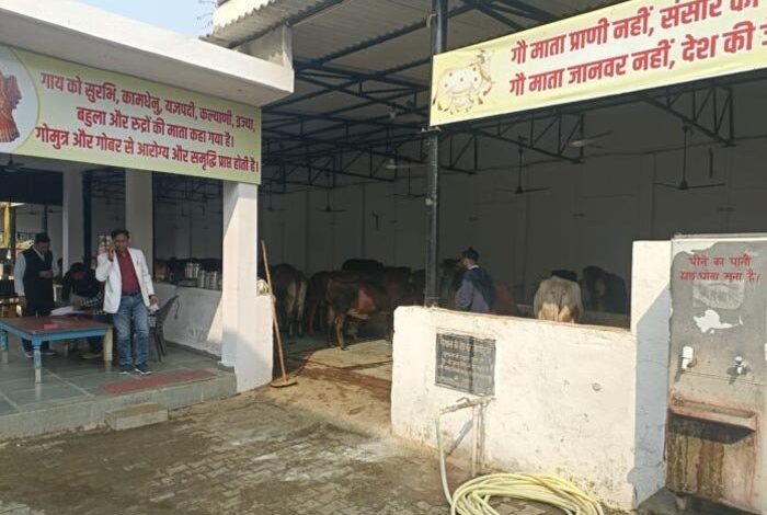 ज्वाइंट मजिस्ट्रेट रुड़की ने की गौशालाओं में छापेमारी